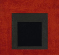  Josef Albers . Sublime Optics