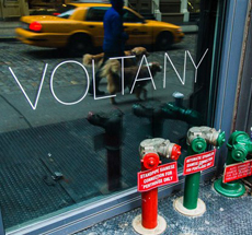 Volta NY gallery . New York . USA