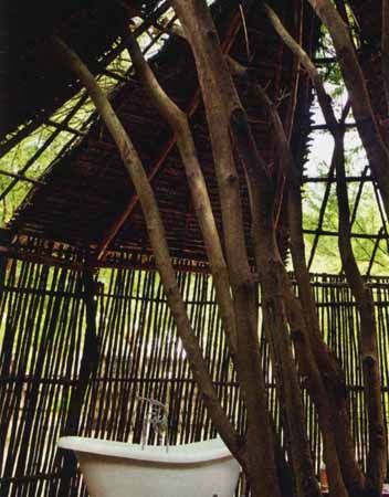 The Red Pepper Hotel