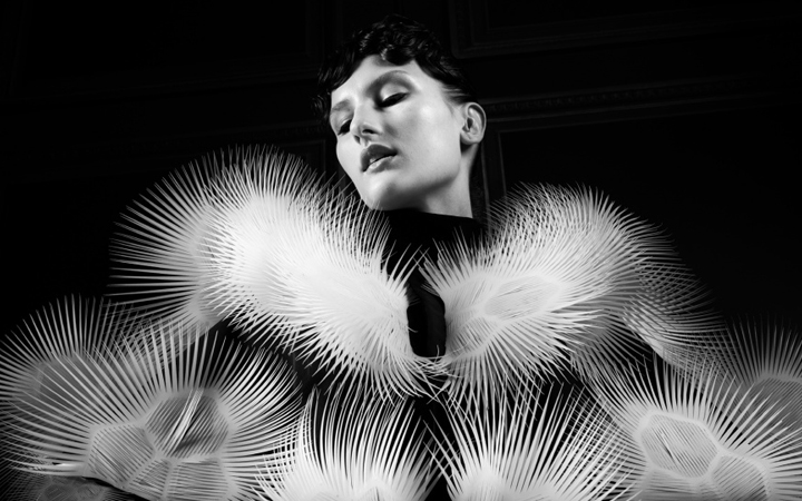 Iris Van Herpen . Voltage