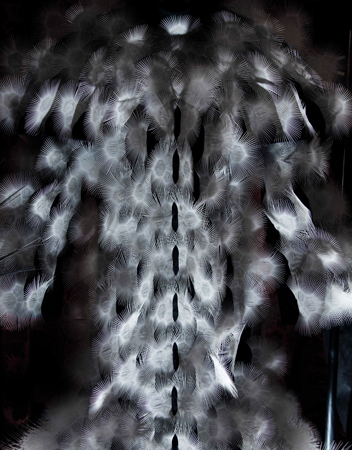 Iris Van Herpen . Voltage