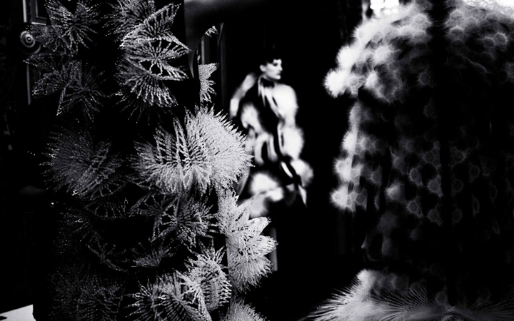 Iris Van Herpen . Voltage