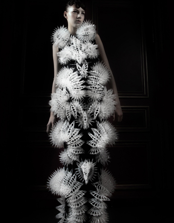 Iris Van Herpen . Voltage