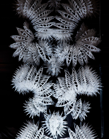 Iris Van Herpen . Voltage