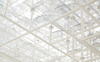 Serpentine Gallery Pavilion 2013 . Sou Fujimoto . London . England