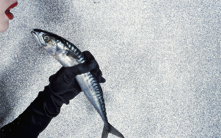 Guy Bourdin . Deichtorhallen . Amburgo . Germany