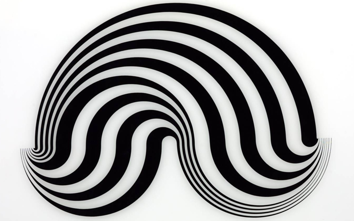 Bridget Riley