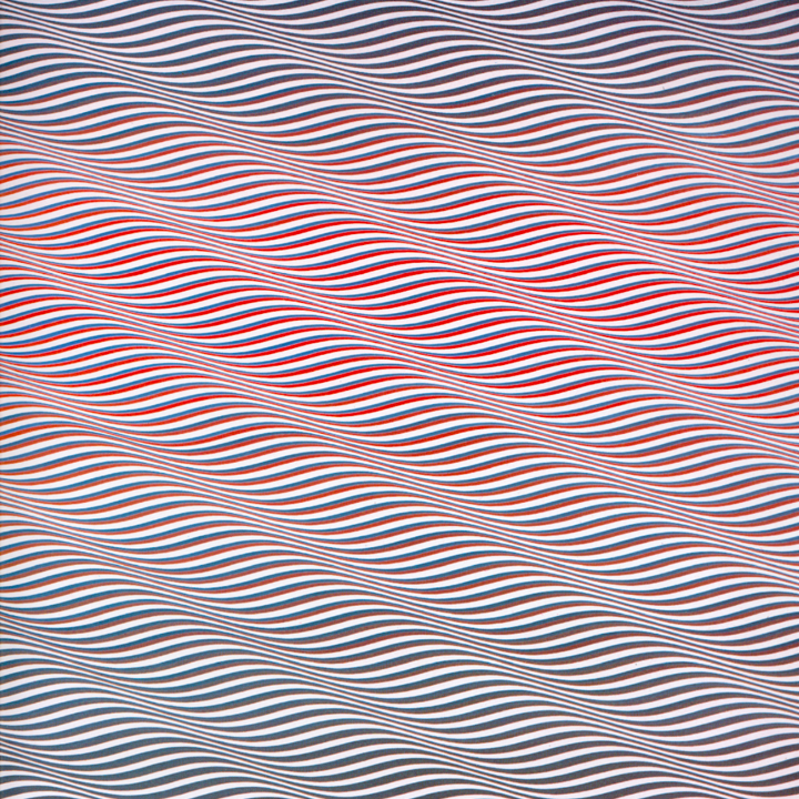 Bridget Riley