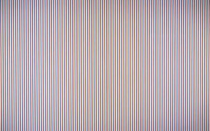 Bridget Riley